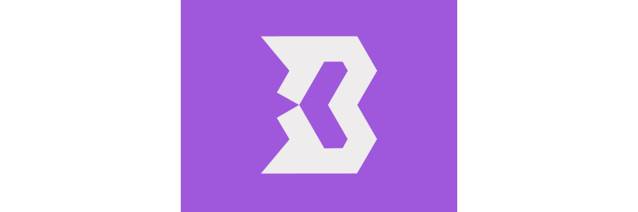 Partner klubu