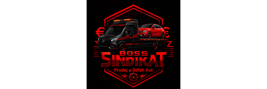 Partner klubu